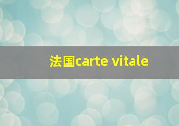 法国carte vitale